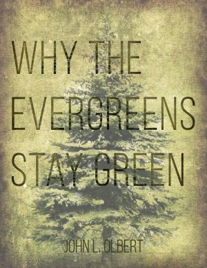 Cover of the book Why the Evergreens Stay Green by Bob Dowd