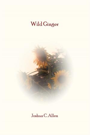 Book cover of Wild Ginger