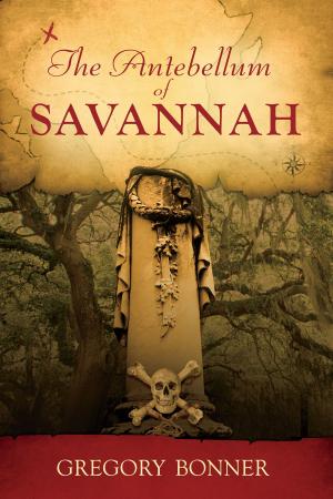 Cover of the book The Antebellum of Savannah by Sheryl Powell