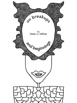 Cover of the book on breakups...and beginnings by Palladian