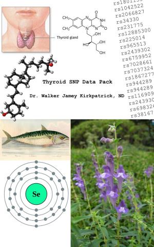 Cover of the book Thyroid SNP Data Pack by Richard Aaron Honorof