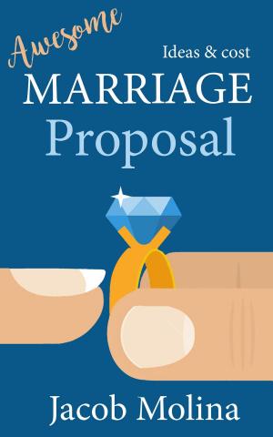 Cover of the book Awesome Marriage Proposal Ideas and Cost by John F. Rooney