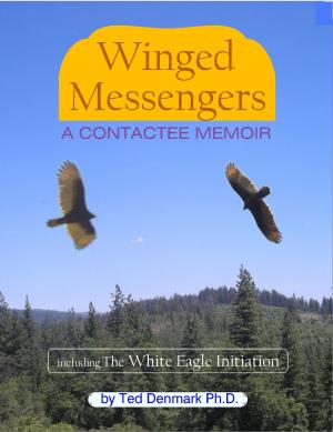 Cover of the book Winged Messengers by Martin Probst