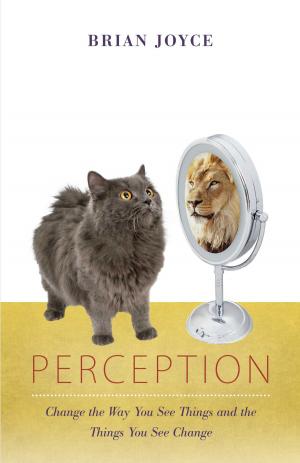 Cover of the book Perception by Zane Safrit