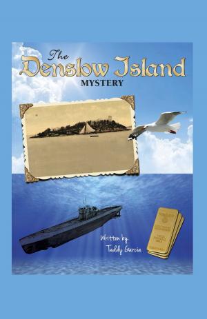 bigCover of the book The Denslow Island Mystery by 