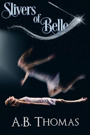 bigCover of the book Slivers of Belle by 