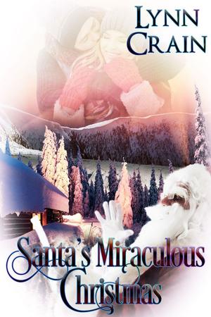 Cover of the book Santa's Miraculous Christmas by D.V. Patton