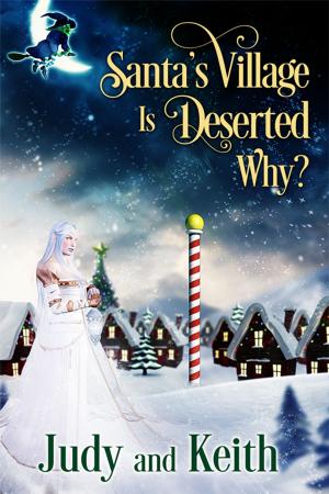 Cover of the book Santa's Village is Deserted. Why? by A. J. Llewellyn