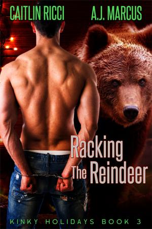 Cover of the book Racking the Reindeer by Derek Adams
