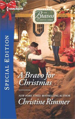 Cover of the book A Bravo for Christmas by C.C. Williams