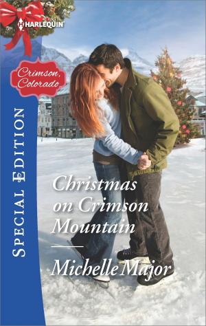 Book cover of Christmas on Crimson Mountain