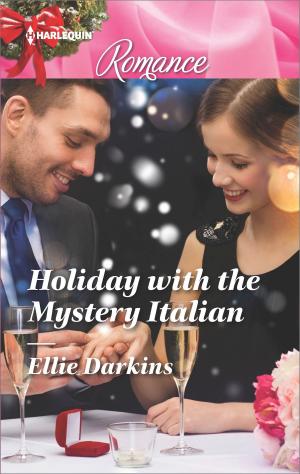 Cover of the book Holiday with the Mystery Italian by Amanda Renee