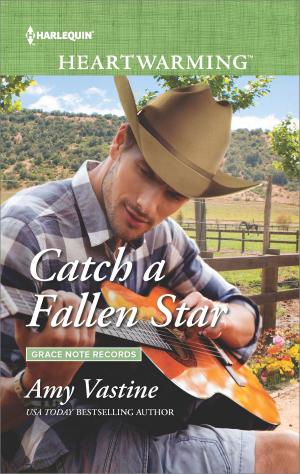Book cover of Catch a Fallen Star