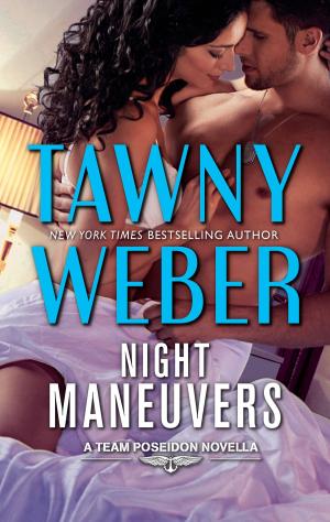 bigCover of the book Night Maneuvers by 