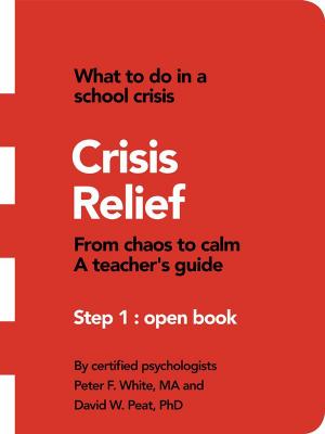 Book cover of Crisis Relief