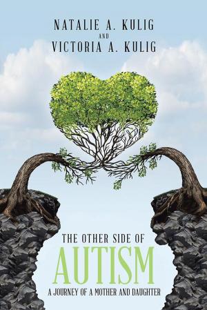 Cover of the book The Other Side of Autism by Aliza Yazdani
