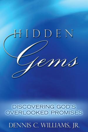 Cover of the book Hidden Gems by Karen Schlindwein, Amalie Bowling