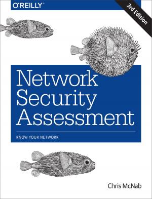 Book cover of Network Security Assessment