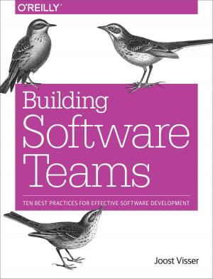 Book cover of Building Software Teams
