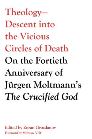 Cover of the book Theology—Descent into the Vicious Circles of Death by Michael Chung