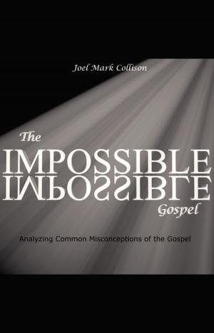 Cover of the book The Impossible Gospel by Mary Cullen