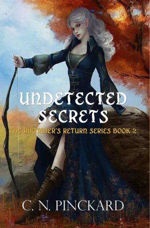 Cover of the book Undetected Secrets by D. M. Raver