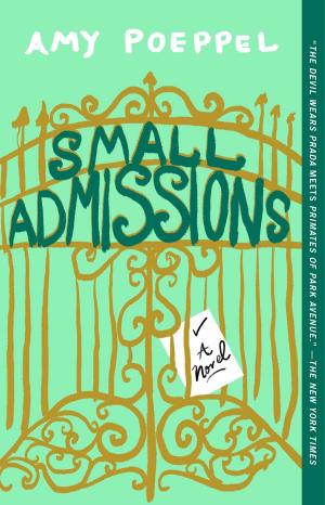 Cover of the book Small Admissions by Lily Diamond