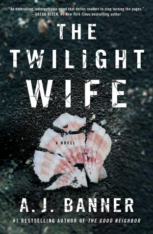 Cover of the book The Twilight Wife by Melinda Metz