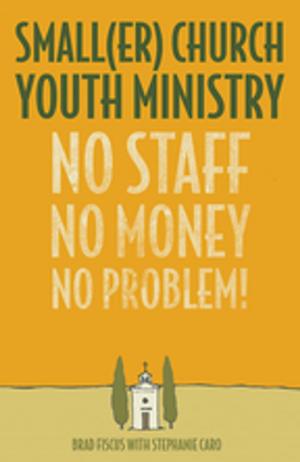 Cover of the book Smaller Church Youth Ministry by David deSilva