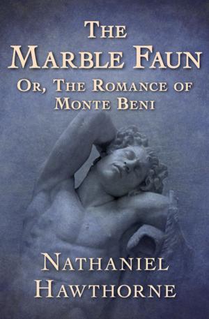 Cover of the book The Marble Faun by 康原