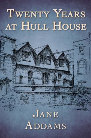 Cover of the book Twenty Years at Hull House by John Lutz