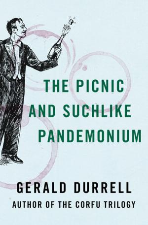 Cover of the book The Picnic and Suchlike Pandemonium by Peter Dale Scott