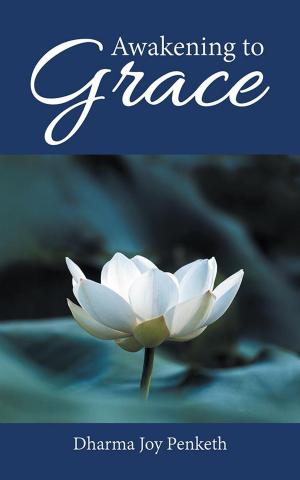Cover of the book Awakening to Grace by Dil Transcend