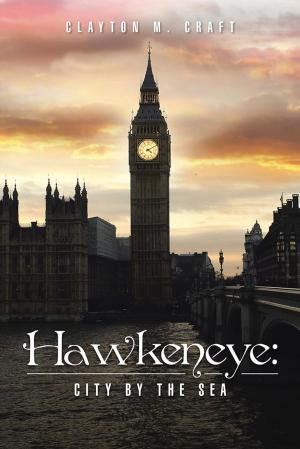 Cover of the book Hawkeneye: City by the Sea by Mike Zimmerman