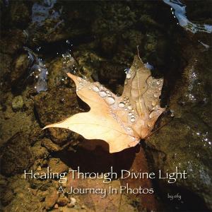Cover of the book Healing Through Divine Light by Joan Marie Gagnon