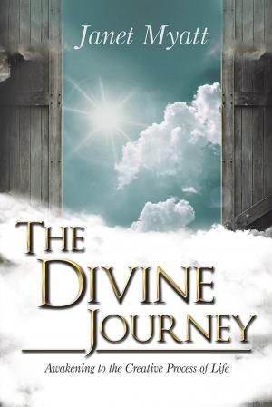 Cover of the book The Divine Journey by Jean-Nichol Dufour