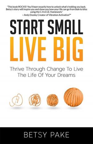 Cover of the book Start Small Live Big by Gershon Winkler