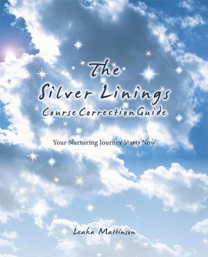 Cover of the book The Silver Linings Course Correction Guide by Jane Kramer