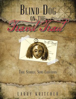 Cover of the book Blind Dog on the Travel Trail by J.T. Ryan