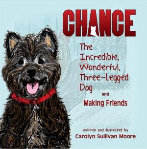 Cover of the book Chance, The Incredible, Wonderful, Three-Legged Dog and Making Friends by David Darling