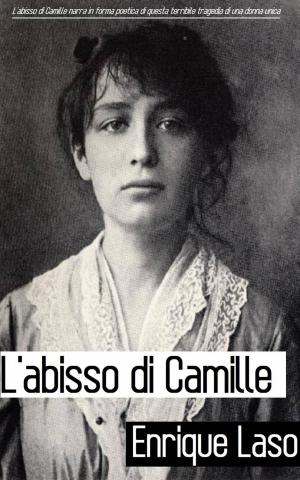 Cover of the book L'abisso di Camille by Claudio Ruggeri
