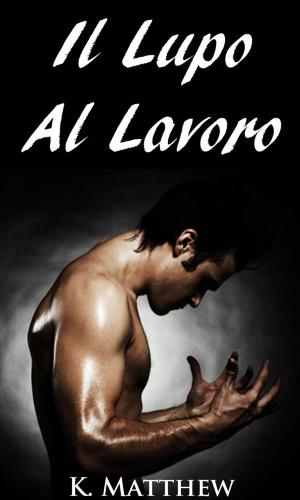 Cover of the book Il Lupo Al Lavoro by Dulce Neto
