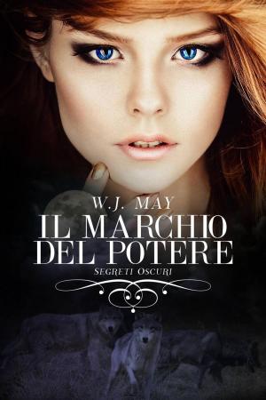 Cover of the book Il marchio del potere by Agnès Ruiz