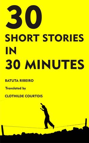 Cover of the book 30 Stories in 30 Minutes by Fergus Crotty