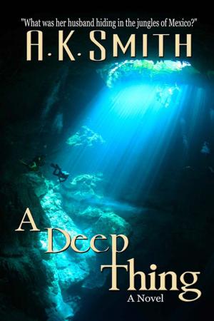 Cover of the book A Deep Thing by Clayton Spann