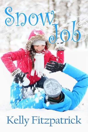 Cover of the book Snow Job by M D
