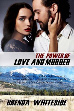 Cover of the book The Power of Love and Murder by Stacy  Dawn