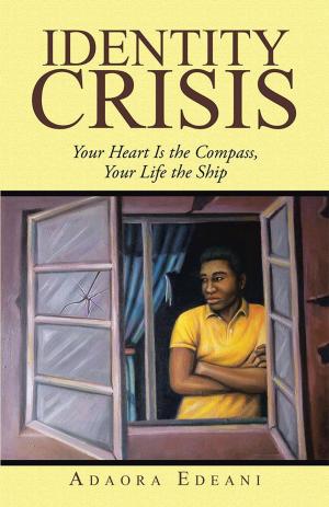 Cover of the book Identity Crisis by Jamie Dershem
