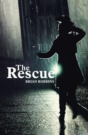 bigCover of the book The Rescue by 