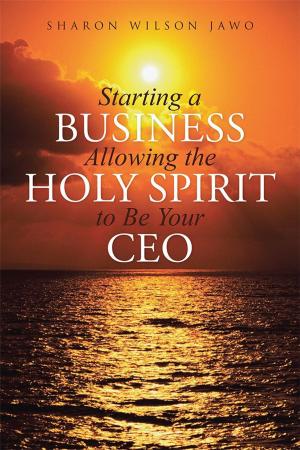 Cover of Starting a Business Allowing the Holy Spirit to Be Your Ceo